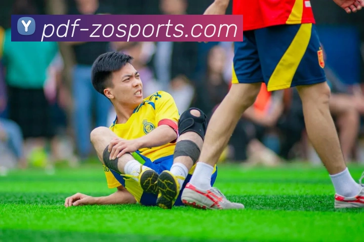 中欧体育平台生态图